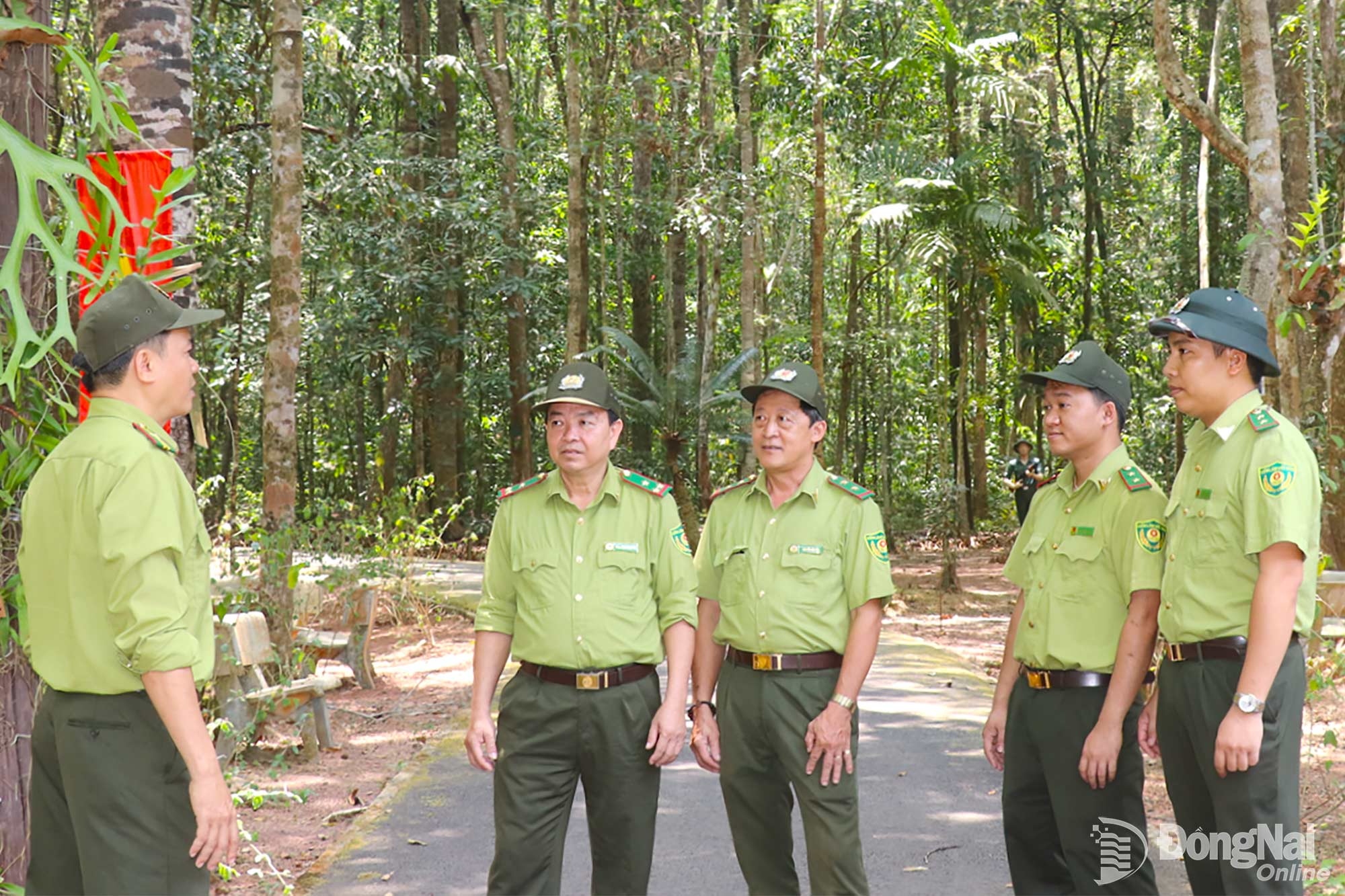 Thầm lặng bảo vệ rừng, di tích lịch sử Chiến khu Đ